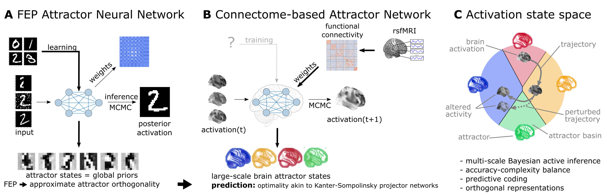 Functional connectivity-based attractor neural networks as models of macro-scale brain dynamics. 
A Free‑energy‑minimizing artificial neural networks  are a form of recurrent stochastic artificial neural networks that, similarly to classical Hopfield networks , can serve as content‑addressable (“associative”) memory systems. More generally, through the learning rule emerging from local free‑energy minimization, the weights of these networks will encode a global internal model of the external world. The priors of this internal generative model are represented by the attractor states of the network that—as a special consequence of free‑energy minimization—will tend to be orthogonal to each other. During stochastic inference (local free‑energy minimization), the network samples from the posterior that combines these priors with the previous brain substates (also encompassing incoming stimuli), akin to Markov chain Monte Carlo (MCMC) sampling.
B In accordance with this theoretical framework, we consider regions of the brain as nodes of a free‑energy‑minimizing artificial neural network. Instead of initializing the network with the structural wiring of the brain or training it to solve specific tasks, we set its weights empirically, using information about the interregional “activity flow” across regions, as estimated via functional brain connectivity. Applying the inference rule of our framework—which displays strong analogies with the relaxation rule of Hopfield networks and the activity flow principle that links activity to connectivity in brain networks—results in a generative computational model of macro‑scale brain dynamics, that we term a functional connectivity‑based (stochastic) attractor neural network (fcANN).C The proposed computational framework assigns a free energy level, a probability density and a “trajectory of least action” towards an attractor state to any brain activation pattern and predicts changes of the corresponding dynamics in response to alterations in activity and/or connectivity.
The theoretical framework underlying the fcANNs - based on the assumption that the brain operates as a free energy minimizing attractor network - draws formal links between attractor dynamics and multi-level Bayesian active inference.