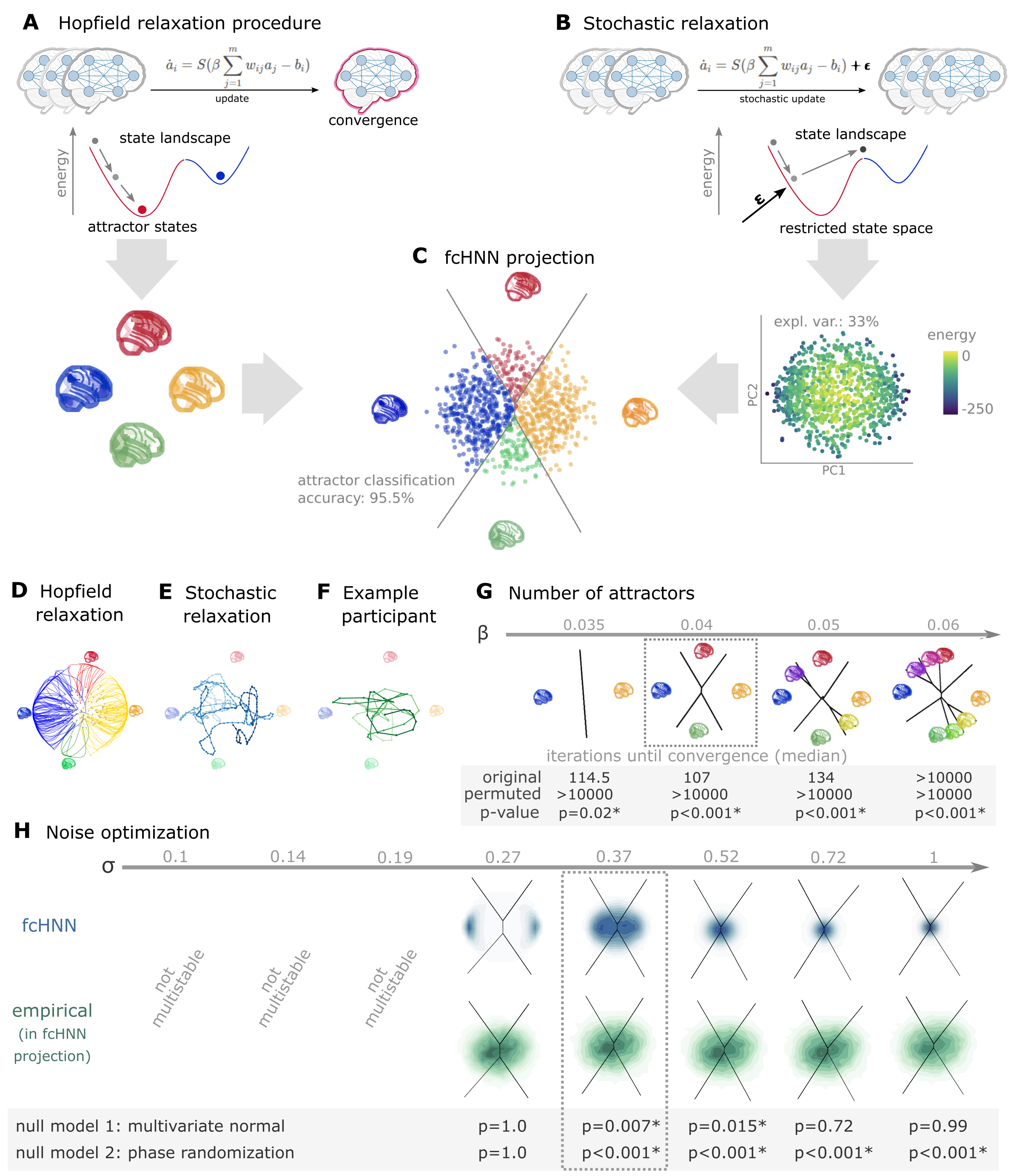 Attractor states and state-space dynamics of connectome-based Hopfield networks 
A Top: During so-called relaxation procedure, activities in the nodes of an fcHNN model are iteratively updated based on the activity of all other regions and the connectivity between them. The energy of a
connectome-based Hopfield network decreases during the relaxation procedure until reaching an equilibrium state with
minimal energy, i.e. an attractor state. Bottom: Four attractor states of the fcHNN derived from the
group-level functional connectivity matrix from study 1 (n=44).
B Top: In presence of weak noise (stochastic update), the system
does not converge to equilibrium anymore. Instead, activity traverses on the state landscape in a way
restricted by the topology of the connectome and the “gravitational pull” of the attractor states. Bottom: We sample
the “state landscape” by running the stochastic relaxation procedure for an extended amount of time (e.g. 100.000 consecutive
stochastic updates), each point representing an activation configuration or state. To construct a
low-dimensional representation of the state space, we take the first two principal components of the simulated activity
patterns. The first two principal components explain approximately 58-85% of the variance of state energy (depending
on the noise parameter \sigma, see Supplementary Figure %s).
C We map all states of the state space sample to their corresponding attractor state, with the conventional
Hopfield relaxation procedure (A). The four attractor states are also visualized in their corresponding position on the
PCA-based projection. The first two principal components yield a clear separation of the attractive state basins
(cross-validated classification accuracy: 95.5%, Supplementary Figure %s). We refer to the resulting visualization
as the fcHNN projection and use it to visualize fcHNN-derived and empirical brain dynamics throughout the rest of
the manuscript.
D The fcHNN of study 1 seeded with real activation maps (gray dots) of an example participant. All activation maps converge to one of the four attractor states during the relaxation procedure (without noise) and the system reaches equilibrium. Trajectories are colored by attractor state.
E Illustration of the stochastic relaxation procedure in the same fcHNN model, seeded from a single starting point (activation pattern). The system does not converge to an attractor state but instead traverses the state space in a way restricted by the topology of the connectome and the “gravitational pull” of the attractor states. The shade of the trajectory changes with increasing number of iterations. The trajectory is smoothed with a moving average over 10 iterations for visualization purposes.
F Real resting state fMRI data of an example participant from study 1, plotted on the fcHNN projection. The shade of the trajectory changes with an increasing number of iterations. The trajectory is smoothed with a moving average over 10 iterations for visualization purposes.
G Consistent with theoretical expectations, we observed that increasing the temperature parameter \beta led to an
increasing number of attractor states, emerging in a nested fashion (i.e. the basin of a new attractor state is fully contained within the basin of a previous one). When contrasting the functional connectome-based HNN with a null model based on symmetry-retaining permuted variations of the connectome, we found that the topology of the original (unpermuted) functional brain connectome makes it significantly better suited to function as an attractor network; than the permuted null model. Table contains the meadian number of iterations until convergence for the original and permuted connectomes for different temperature parameters \beta and the corresponding p-value.
H We optimized the noise parameter \sigma of the stochastic relaxation procedure for 8 different \sigma values over a logarithmic range between \sigma=0.1 and 1 so that the similarity (the timeframes distribution over the attractor basins) is maximized between the empirical data and the fcHNN-generated data. We used to null models to assess the significance of similarity: one based on multivariate normal data, with the covariance matrix set to the functional connectome’s covariance matrix, and one based on spatial phase-randomization. P-values are given in the table at the bottom of the panel. The fcHNN only reached multistability with \sigma>0.19, and it provided the most accurate reconstruction of the real data with \sigma=0.37 (p=0.007, and p<0.001 for the two null models).