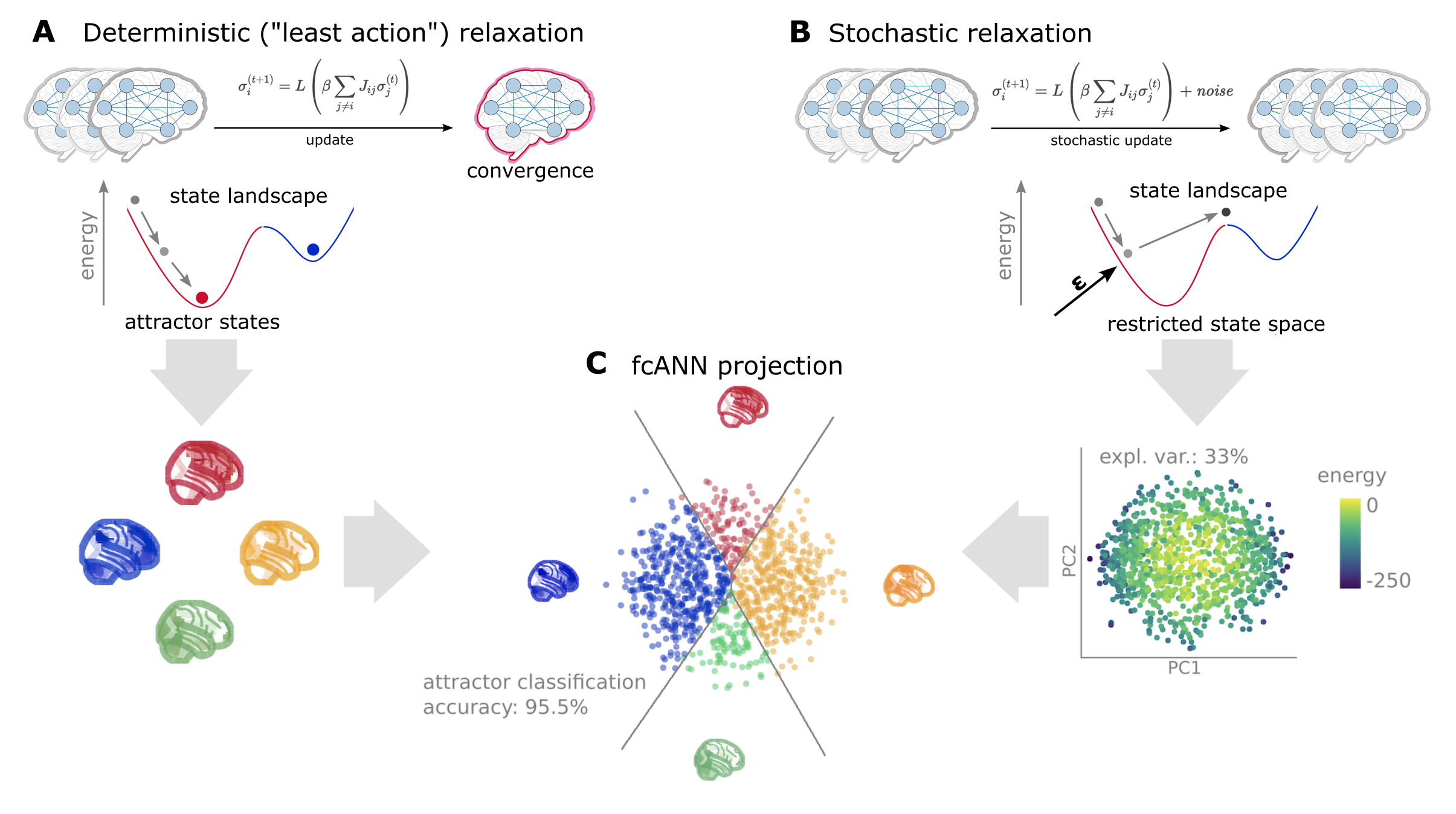 Schematic representation of the fcANN projection.
The fcANN projection is a 2-dimensional visualization of the fcANN dynamics, based on the first two principal components (PCs) of the states sampled from the stochastic relaxation procedure. The first two PCs yield a clear separation of the attractor states, with the two symmetric pairs of attractor states located at the extremes of the first and second PC.
To map the attractors’ basins on the space spanned by the first two PCs, we obtained the attractor state of each point visited during the stochastic relaxation and fit a multinomial logistic regression model to predict the attractor state from the first two PCs.
The resulting model accurately predicted attractor states of arbitrary brain activity patterns, achieving a cross-validated accuracy of 96.5% (permutation-based p<0.001).
The attractor basins were visualized by using the decision boundaries obtained from this model. We propose the 2-dimensional fcANN projection as a simplified visual representation of brain dynamics, and use it as a basis for all subsequent analyses in this work.