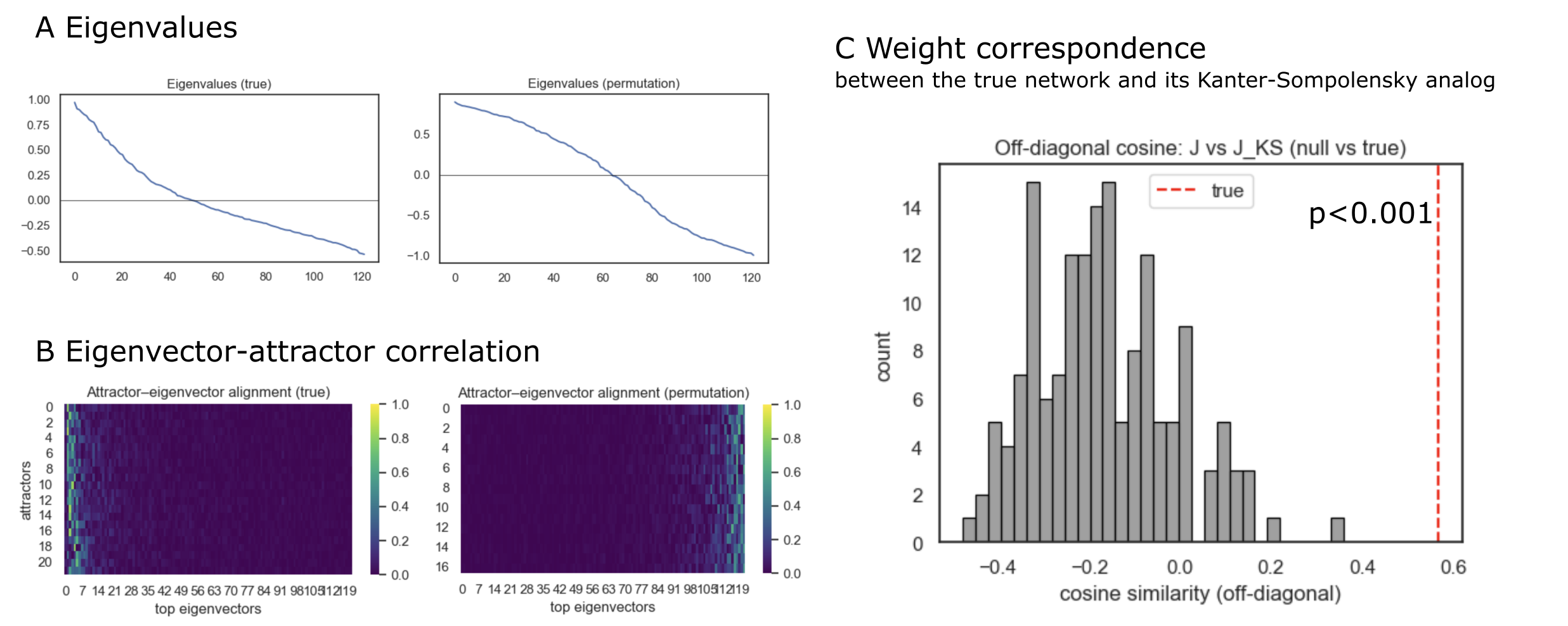 Eigenstructure and projector tests of the fcANN 
A: Eigenvalue spectra of the empirical coupling matrix J (left) and null model 1 (coupling matrix based on phase randomized timeseries data, recalculated for each permutation) (right). B: Eigenvector–attractor alignment calculated from the empirical (left) and phase-randomized data (right). Attractors were obtained by deterministic relaxation from random initial states (with collapsing sign‑duplicates); alignment is the absolute cosine between collapsed attractor vectors and the top eigenvectors of J. C: Weight correspondence between J and its Kanter–Sompolinsky (K–S) analog. From the measured attractors we formed Σ (columns are attractors) and C=ΣᵀΣ/N, then computed the pseudo‑inverse projector J_{KS}=(1/N)ΣC⁻¹Σᵀ. Similarity was quantified as the cosine between the off‑diagonal elements of J and J_{KS}. The gray histogram shows the null distribution from null model 2 (symmetry‑preserving permutations of J, but see Source notebook for similar results with null model 1, i.e. phase randomized timeseries data); for each of the 1000 permutations p we recomputed the own attractors of the surrogate network and J_{KS}^{(p)}. The red dashed line marks the empirical value; the one‑sided p‑value is the fraction of null cosines ≥ the empirical cosine. The empirical network shows stronger eigenvector–attractor alignment and substantially higher J↔J_KS off‑diagonal correspondence than the null, consistent with approximate K–S projector behavior.