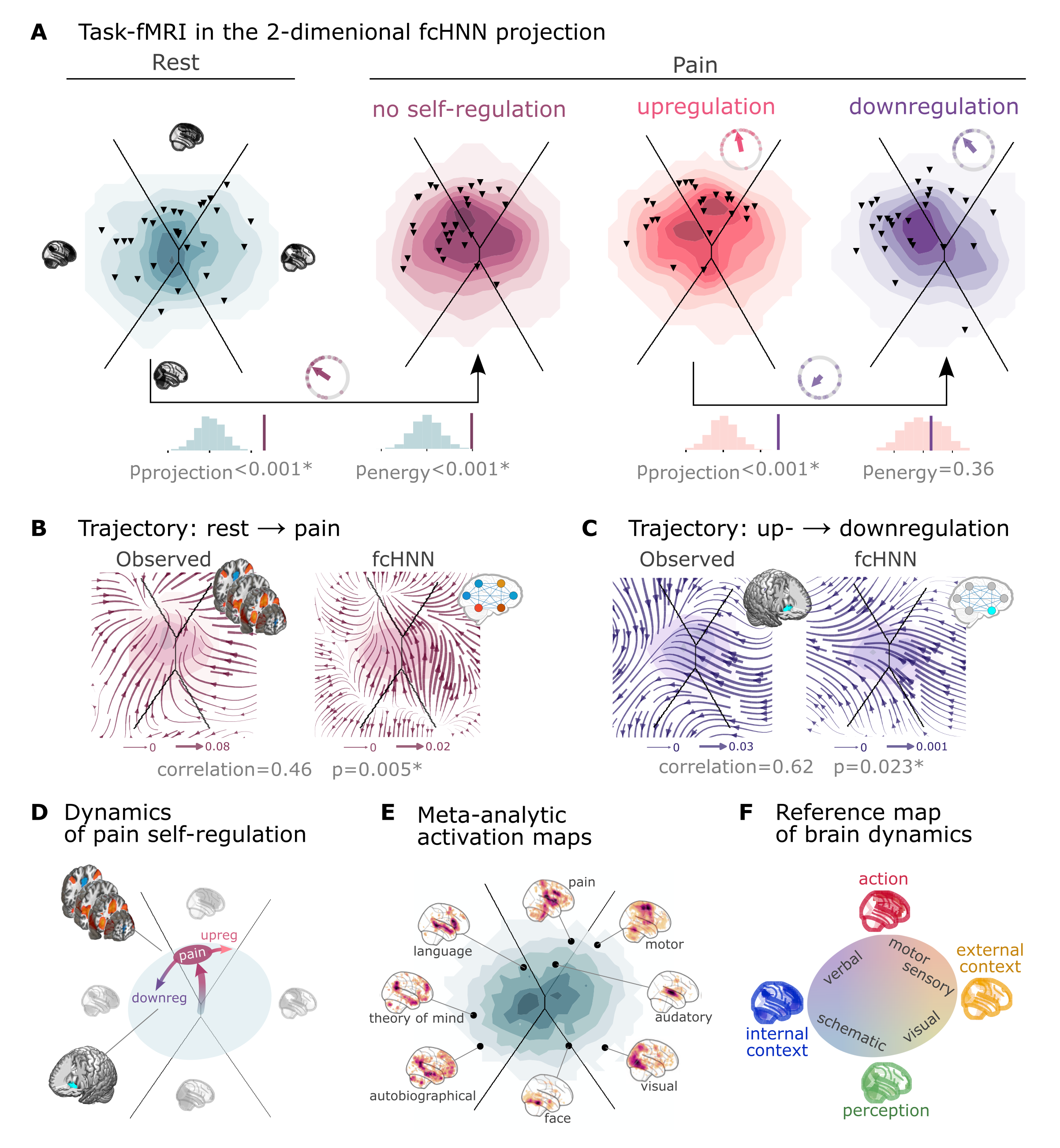 Empirical Hopfield-networks reconstruct real task-based brain activity. 
A Functional MRI time-frames during pain stimulation from study 4 (second fcHNN projection plot)
and self-regulation (third and fourth) are distributed differently on the fcHNN projection than brain states
during rest (first projection, permutation test, p<0.001 for all). Energies, as defined by the Hopfield model, are also
significantly different between rest and the pain conditions (permutation test, p<0.001), with higher energies during
pain stimulation. Triangles denote participant-level mean activations in the various blocks (corrected for
hemodynamics). Small circle plots show the directions of the change for each individual (points) as well as the mean direction
across participants (arrow), as compared to the reference state (downregulation for the last circle plot, rest for all
other circle plots).
B Flow-analysis (difference in the average timeframe-to-timeframe transition direction) reveals a non-linear difference in brain dynamics during pain and rest (left). When introducing weak pain-related signal in the fcHNN model during stochastic relaxation, it accurately reproduces these non-linear flow differences (right).
C Simulating activity in the Nucleus Accumbens (NAc) (the region showing significant activity differences in ) reconstructs the observed non-linear flow difference between up- and downregulation (left).
D Schematic representation of brain dynamics during pain and its up- and downregulation, visualized on the fcHNN  projection. In the proposed framework, pain does not simply elicit a direct response in certain regions, but instead, shifts spontaneous brain dynamics towards the “action” attractor, converging to a characteristic “ghost attractor” of pain. Down-regulation by NAc activation exerts force towards the attractor of internal context, leading to the brain less frequent “visiting” pain-associated states.
E Visualizing meta-analytic activation maps (see Supplementary Table %s for details) on the fcHNN projection captures intimate relations between the corresponding tasks and F serves as a basis for a fcHNN-based theoretical interpretative framework for spontaneous and task-based brain dynamics. In the proposed framework, task-based activity is not a mere response to external stimuli in certain brain locations but a perturbation of the brain’s characteristic dynamic trajectories, constrained by the underlying functional connectivity. From this perspective, “activity maps” from conventional task-based fMRI analyses capture time-averaged differences in these whole brain dynamics.