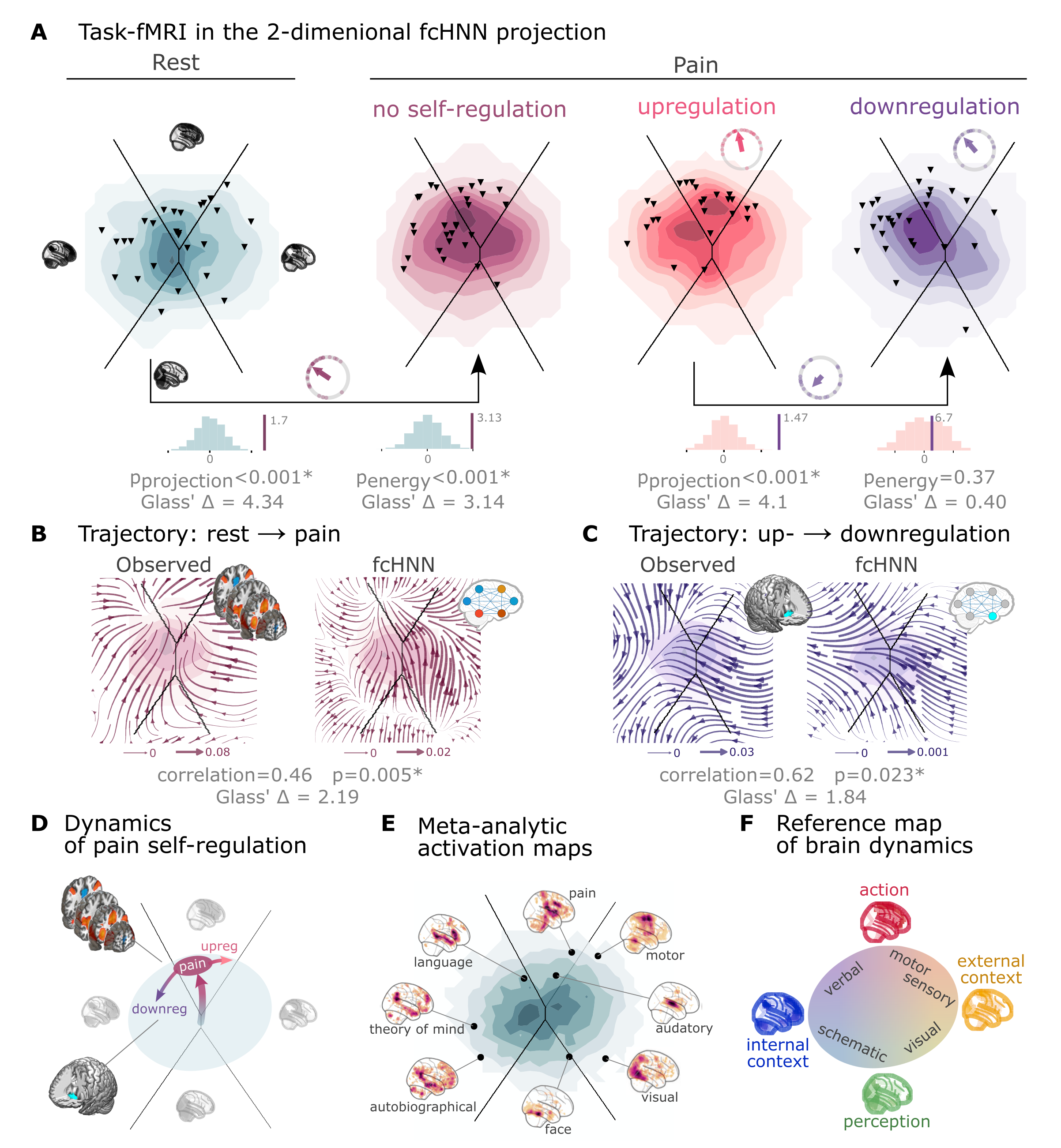 Functional connectivity-based attractor networks reconstruct real task-based brain activity. 
A Functional MRI time-frames during pain stimulation from study 4 (second fcANN projection plot)
and self-regulation (third and fourth) are distributed differently on the fcANN projection than brain substates
during rest (first projection, permutation test, p<0.001 for all). Energies, as defined by the Hopfield model, are also
significantly different between rest and the pain conditions (permutation test, p<0.001), with higher energies during
pain stimulation. Triangles denote participant-level mean activations in the various blocks (corrected for
hemodynamics). Small circle plots show the directions of the change for each individual (points) as well as the mean direction across participants (arrow), as compared to the reference state (downregulation for the last circle plot, rest for all other circle plots).
B Flow-analysis (difference in the average timeframe-to-timeframe transition direction) reveals a nonlinear difference in brain dynamics during pain and rest (left). When introducing weak pain-related signal in the fcANN model during stochastic relaxation, it accurately reproduces these nonlinear flow differences (right).
C Simulating activity in the Nucleus Accumbens (NAc) (the region showing significant activity differences in ) reconstructs the observed nonlinear flow difference between up- and downregulation (left).
D Schematic representation of brain dynamics during pain and its up- and downregulation, visualized on the fcANN  projection. In the proposed framework, pain does not simply elicit a direct response in certain regions, but instead, shifts spontaneous brain dynamics towards the “action” attractor, converging to a characteristic “ghost attractor” of pain. Down-regulation by NAc activation exerts force towards the attractor of internal context, leading to the brain less frequent “visiting” pain-associated states.
E Visualizing meta-analytic activation maps (see Supplementary Table %s for details) on the fcANN projection captures intimate relations between the corresponding tasks and F serves as a basis for a fcANN-based theoretical interpretative framework for spontaneous and task-based brain dynamics. In the proposed framework, task-based activity is not a mere response to external stimuli in certain brain locations but a perturbation of the brain’s characteristic dynamic trajectories, constrained by the underlying functional connectivity. From this perspective, “activity maps” from conventional task-based fMRI analyses capture time-averaged differences in these whole brain dynamics.