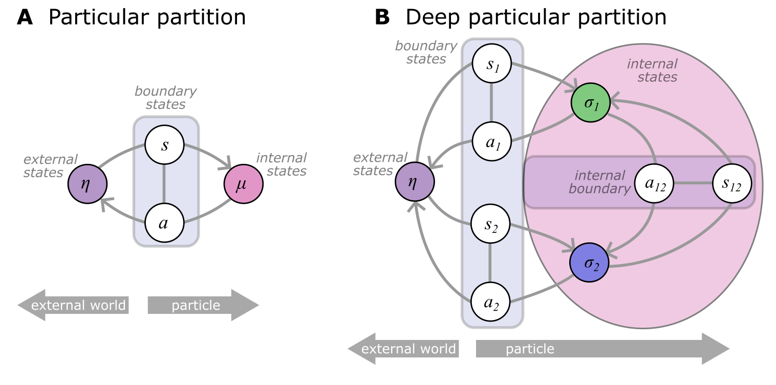 Deep Particular Partitions. A Schematic illustration of a particular partition of a system into internal (\mu) and external states (\eta), separated by a Markov blanket consisting of sensory states (s) and active states (a). The tuple (\mu, s, a) is called a particle. A particle, in order to persist for an extended period of time, will necessarily have to maintain its Markov blanket, a behavior that is equivalent to an inference process in which internal states infer external states through the blanket states. The resulting self-organization of internal states corresponds to perception, while actions link the internal states back to the external states.
B The internal states \mu \subset x can be arbitrarily complex. Without loss of generality, we can consider that the macro-scale \mu can be decomposed into set of overlapping micro-scale subparticles (\sigma_i, s_i, a_i, s_{ij}, a_{ij}), so that the internal state of subparticle \sigma_i \subset \mu can be an external state from the perspective of another subparticle \sigma_j \subset \mu. Some, or all subparticles can be connected to the macro-scale external state \eta, through the macro-scale Markov blanket, giving a decomposition of the original boundary states into s_i \subset s and a_i \subset a. The subparticles are connected to each other by the micro-scale boundary states s_{ij} and a_{ij}. Note that this notation considers the point-of-view of the i-th subparticle. Taking the perspective of the j-th subparticle, we can see that s_{ji}=a_{ij} and a_{ji}=s_{ij}. While the figure depicts the simplest case of two nested partitions, the same scheme can be applied recursively to any number of (possibly nested) subparticles and any coupling structure amongst them.
