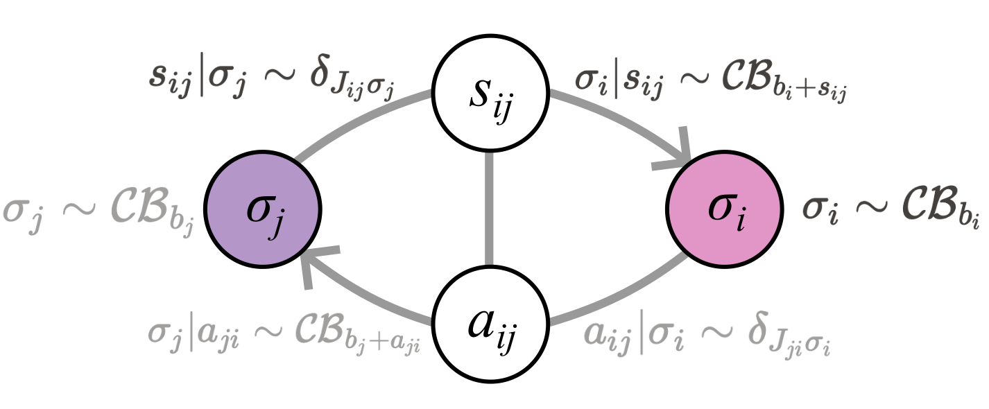 Parametrization of subparticles in a deep particular partition. 
The internal state \sigma_i of subparticle \pi_i follows a continuous Bernoulli distribution, (a.k.a. a truncated exponential distribution supported on the interval [-1, +1] \subset \mathbb{R}, see ), with a prior “bias” b_i that can be interpreted as a priori log-odds evidence for an event (stemming from a macro-scale sensory input s_{i} - not shown, or from the internal dynamics of \sigma_i itself, e.g. internal sequence dynamics).
The state \sigma_i is coupled to the internal state of another subparticle \sigma_j through the micro-scale boundary states s_{ij} and a_{ij}. The boundary states simply apply a deterministic scaling to their respective \sigma state, with a weight (J_{ij}) implemented by a Dirac delta function shifted by J_{ij} (i.e. we deal with conservative subparticles, in the sense of ). The state \sigma_i is influenced by its sensory input s_i in a way that s_i gets integrated into its internal bias, updating the level of evidence for the represented event.