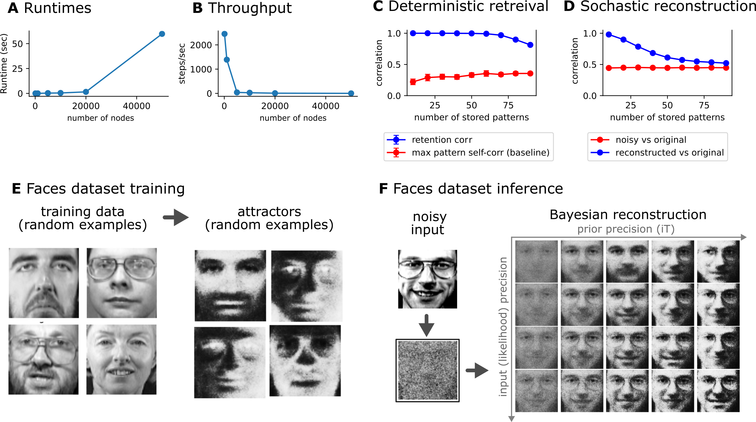 Scaling, memory capacity, and face recognition. 
A–B: Runtime (A) and throughput (B) of the JAX implementation as a function of network size N, confirming the expected O(N^2) per-step scaling ().
C: Deterministic retrieval quality (retention correlation, blue) as a function of the number of stored patterns K, compared with the maximum inter-pattern self-correlation baseline (red). The network maintains high-fidelity attractors well beyond the classical Hopfield capacity bound.
D: Stochastic (Bayesian) reconstruction: correlation of the reconstructed output with the original pattern (blue) versus correlation of the noisy input with the original (red), as a function of K. The network consistently improves upon the noisy input, demonstrating effective Bayesian retrieval.
E: Training the network on the Olivetti faces dataset (64 \times 64, N = 4096, 400 patterns; ). Random examples of training faces (left) and the corresponding learned attractors (right), confirming attractor formation and orthogonalization in this naturalistic domain.
F: Bayesian face reconstruction from noisy input. Columns show reconstructions at increasing likelihood precision (left to right, top row) and increasing prior precision (top to bottom). Even when the input is degraded to a level approaching the limit of human face recognition, the network recovers the original identity by combining sensory evidence with its learned attractor-based priors.