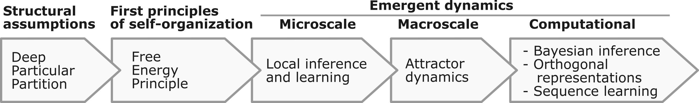 Overview of the framework. Starting from universal and parsimonious structural assumptions (deep particular partition), variational free energy minimization under the Free Energy Principle (FEP) gives rise to emergent dynamics at multiple scales: local stochastic inference and learning rules that guide the update of internal states and the couplings between them, self-organizing attractor dynamics at the macroscale, and — at the computational level — Bayesian inference, approximately orthogonal attractor representations of latent external causes, and sequence learning capabilities.
