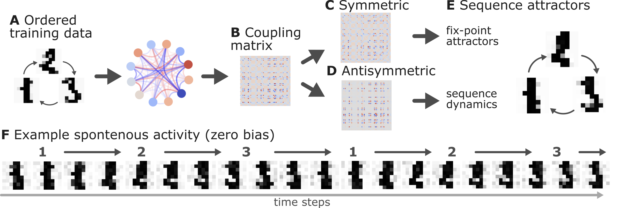 Sequential Dynamics in Free-Energy Minimizing Attractor Networks.
Simulation results () demonstrate the framework’s ability to learn temporal sequences. Ordered training data leads to asymmetric coupling matrices, where the symmetric component establishes fixed-point attractors for individual patterns, and the antisymmetric component encodes the transitional dynamics, enabling spontaneous sequence recall.
A: Ordered training data (digits 1, 2, 3) presented sequentially to the network.
B: The emergent coupling matrix, displaying asymmetry as a consequence of sequential training.
C: The symmetric component of the coupling matrix. This part is responsible for creating stable, fixed-point attractors for each pattern in the sequence.
D: The antisymmetric component of the coupling matrix. This part drives the directional transitions between the attractors, encoding the learned order.
E: The sequence attractors themselves – fixed-point attractors (digits 1, 2, 3) derived from the symmetric coupling component.
F: Example of spontaneous network activity with zero external bias, showcasing the autonomous recall of the learned sequence (1→2→3→...) driven by the interplay of symmetric and antisymmetric couplings.